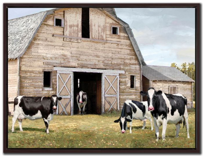 Cow Shed
