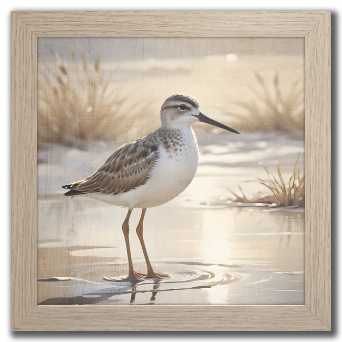 Sandpiper I