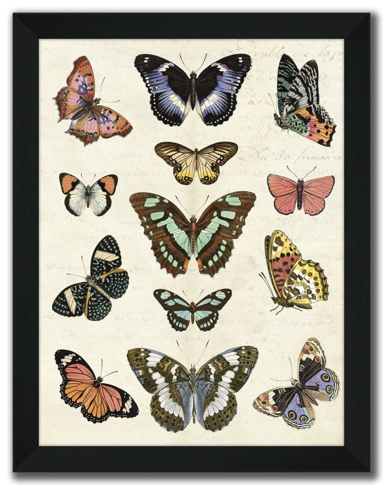 Flutterbys I