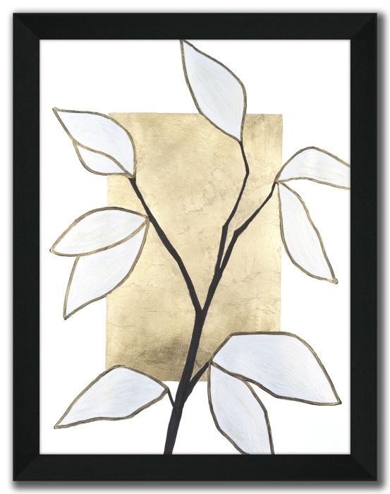 Vernation II
