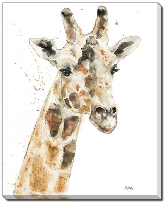 Savannah Giraffe