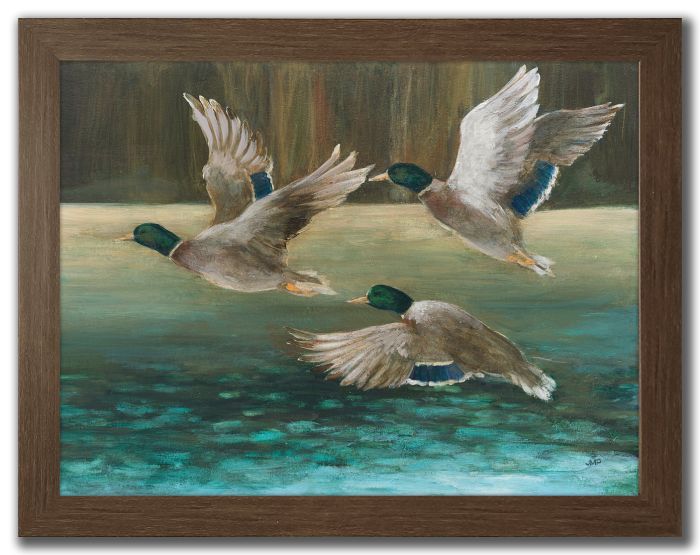 Mallard Flight