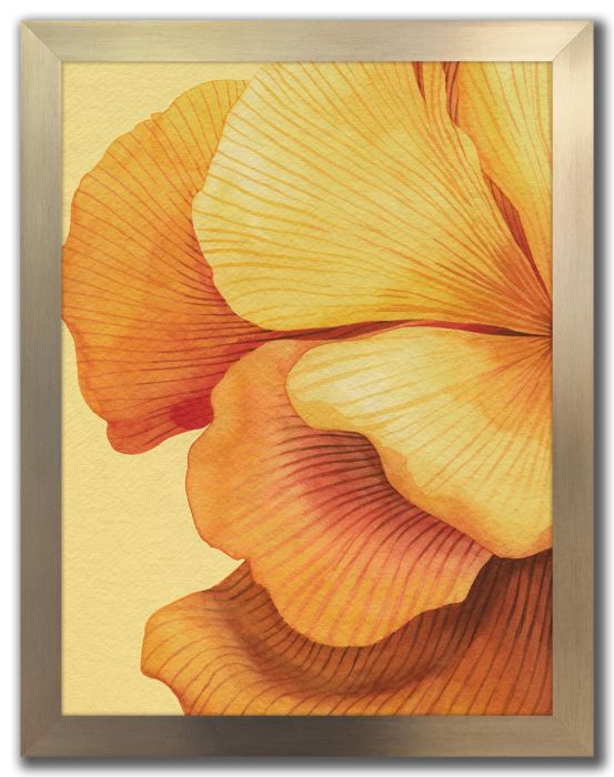 Sunset Petals I