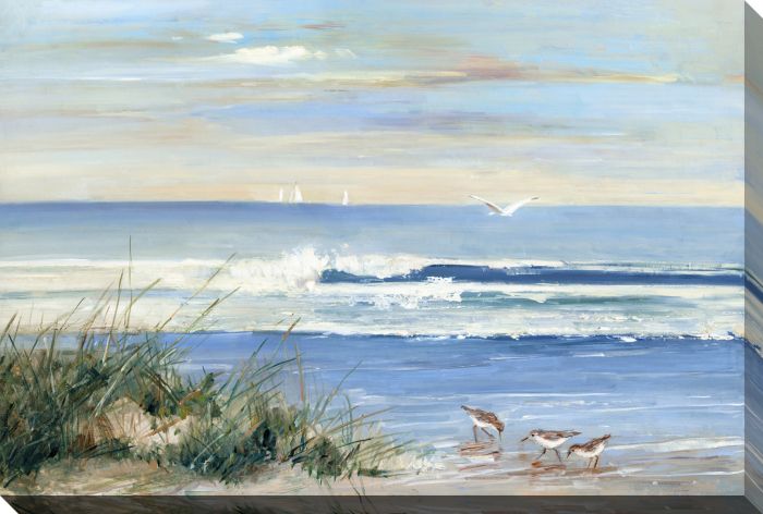 Beach Combers