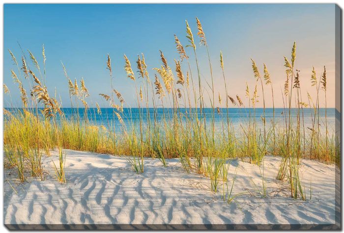 Love the Beach