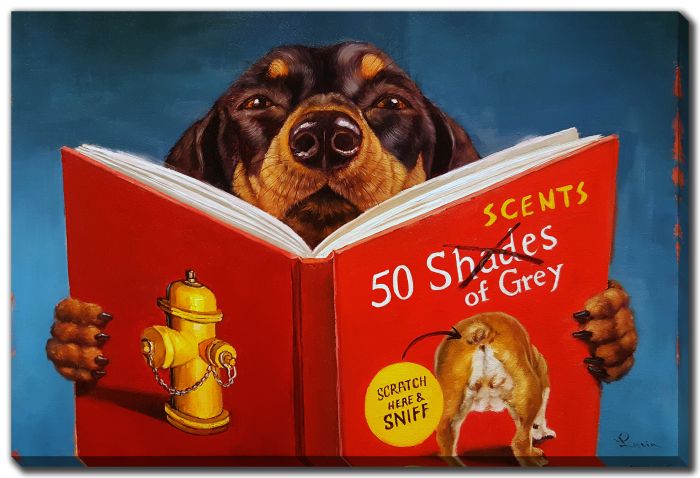50 Scents of Grey
