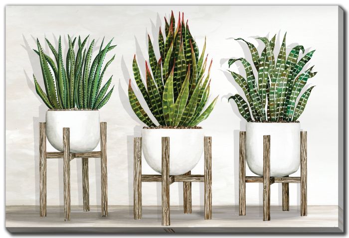 White Pots on Stands I