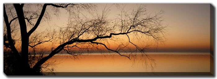 Panoramic Sunset