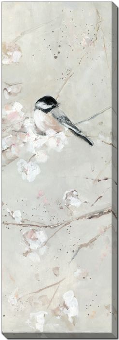 Soft Melody I