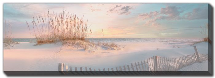 Through the Sea Grass