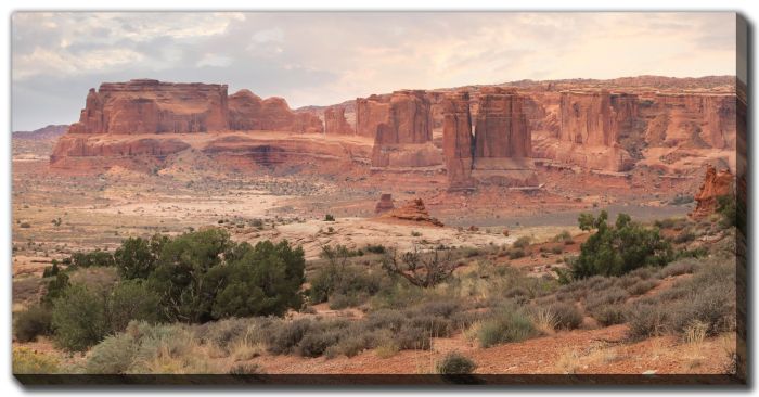 Dusty Desert