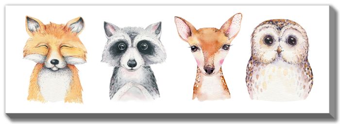 Forest Animals