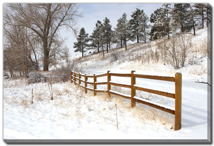 Split Rail Fence