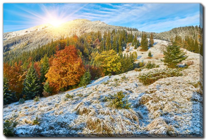 Tranquil Embrace Of Autumn