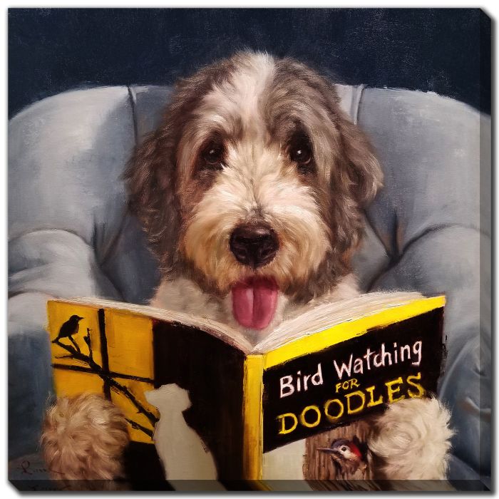Ornithology For Doodles