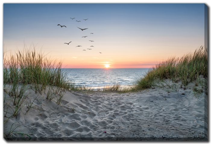 Sunset Beach Path