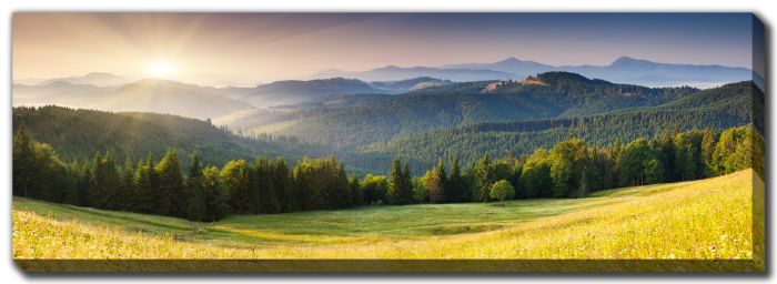 Rolling Hills And Morning Light