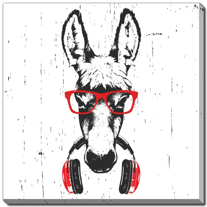 Hip Donkey