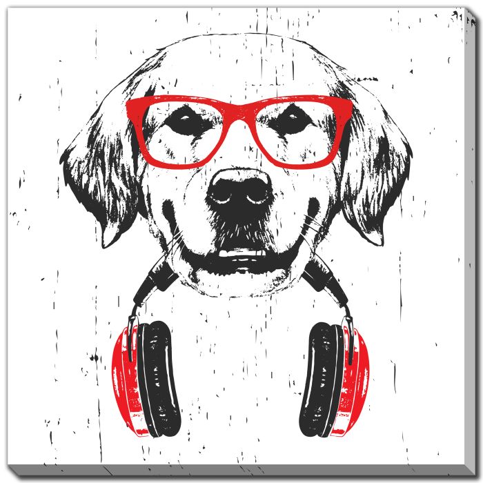 Stylish Retriever