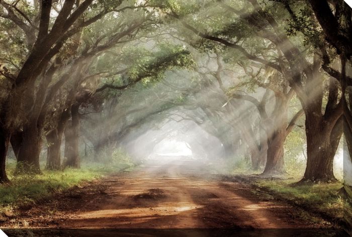 Evergreen Plantation