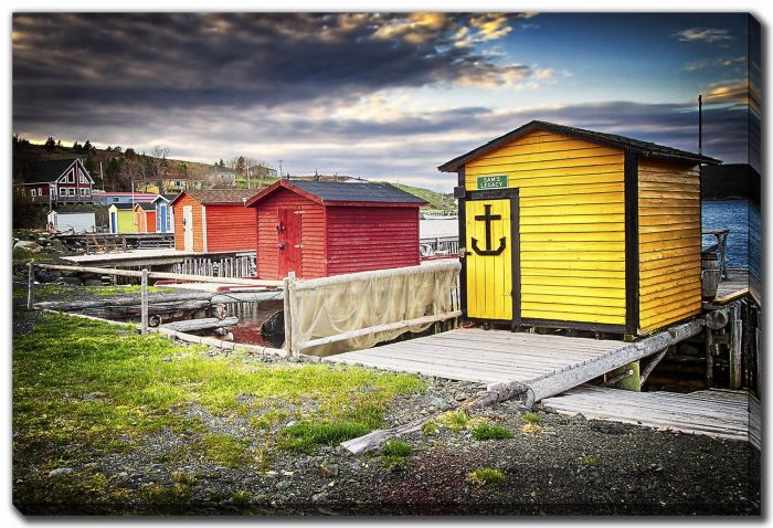 Shed Row