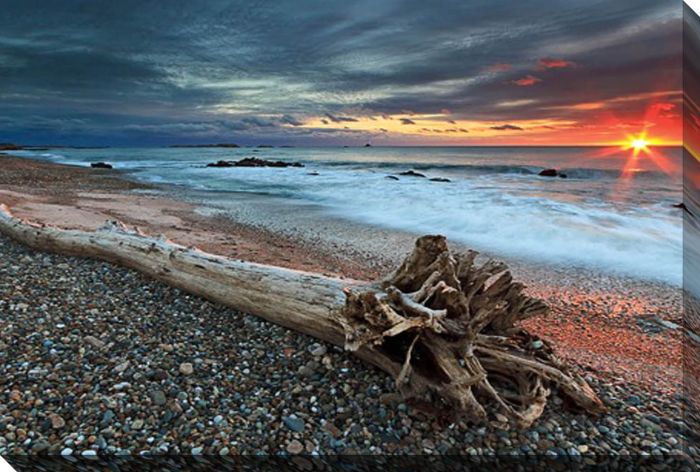Sakonnet Driftwood