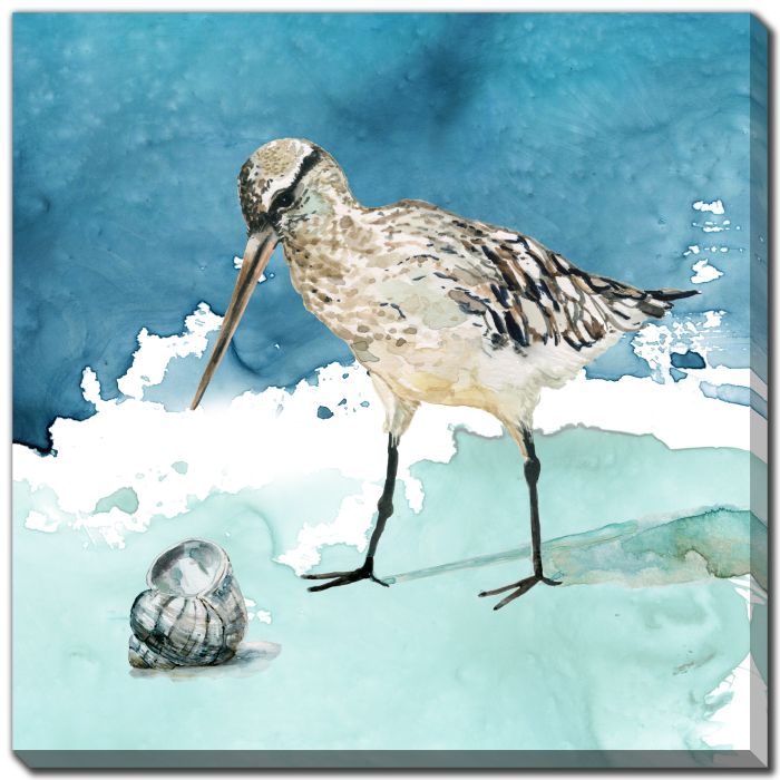 Shore Birds 2