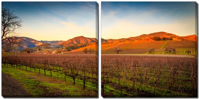 Sonoma