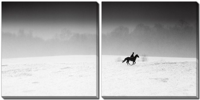 Winter Run