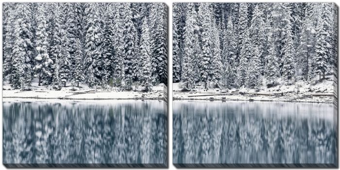 Winter Reflections