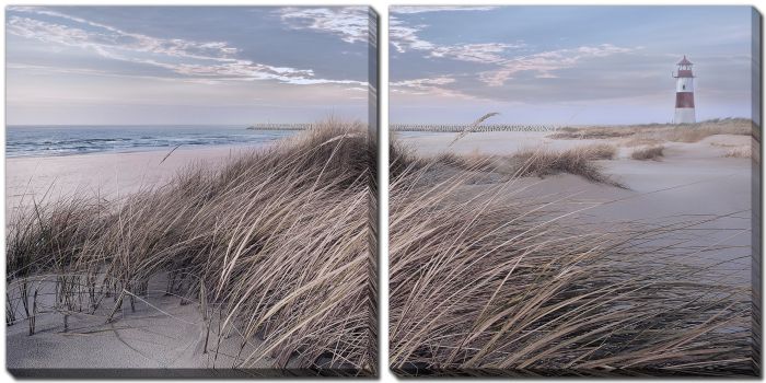 Winter Wind