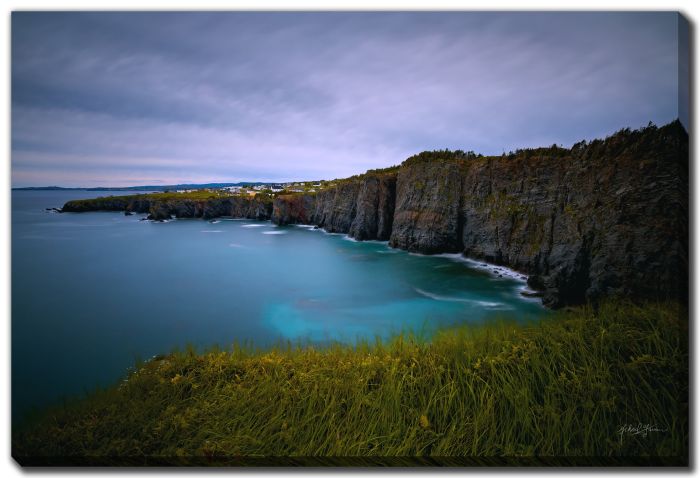 Cliffside Ocean Hill Grass
