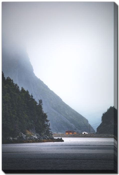 Cliff Trees Fog Town