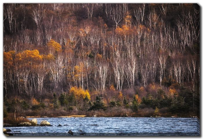 Birch Hill Rough Water Pond