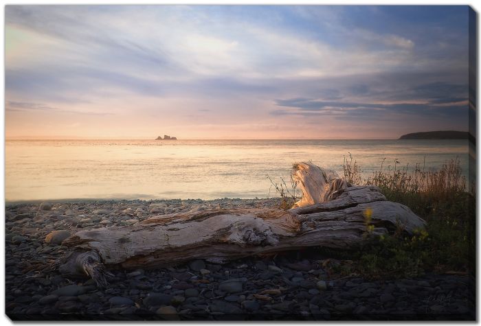 Driftwood Stone Beach Island 