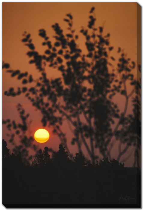 Home Town Sunrise 