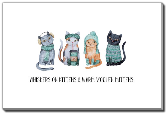 Whiskers on Kittens