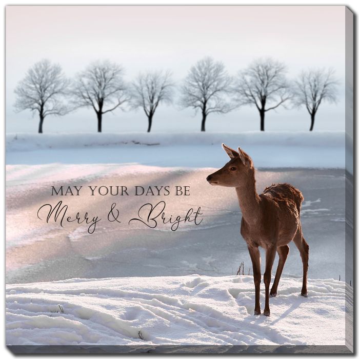 May Your Days Be Merry