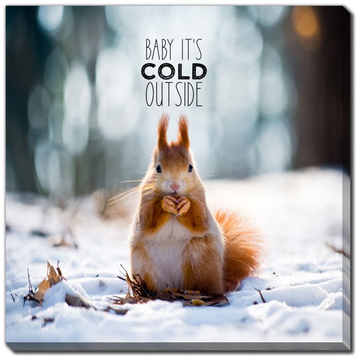 Cold Outside