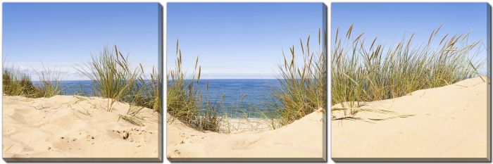 Sand Dunes