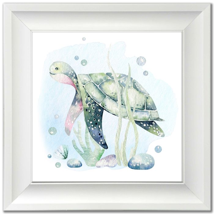 Turtle1