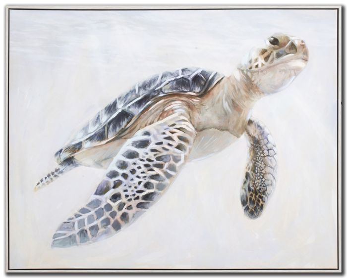 Tranquil Turtle