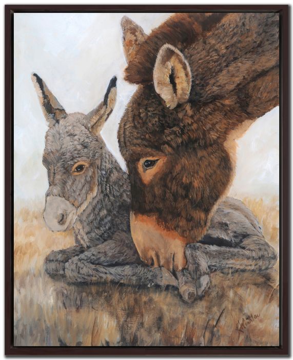 Jenny and Foal