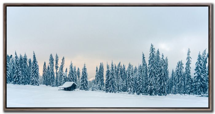 Snowy Landscape